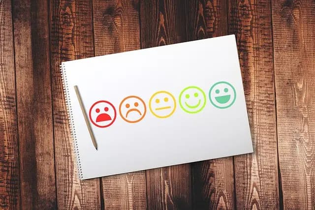 Comment Évaluer un Service de Covoiturage 24h Fiable